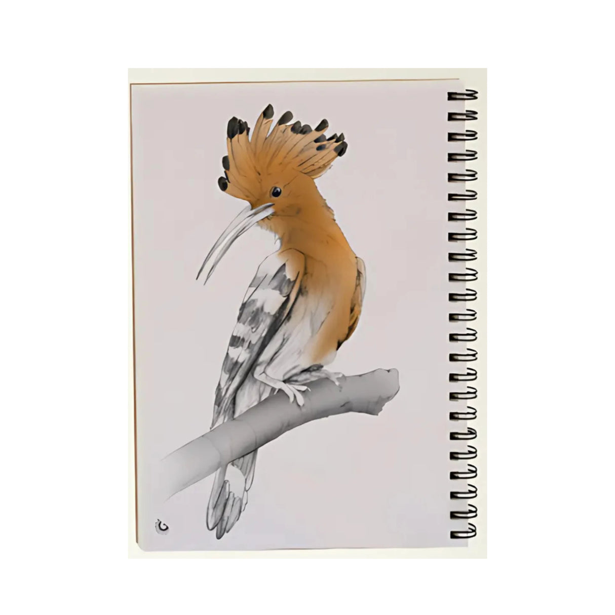 סקצ'בוק A4 - דגם דוכיפת