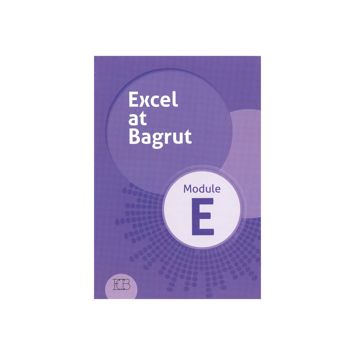 אקסל לבגרות - Excel at Bagrut Module E
