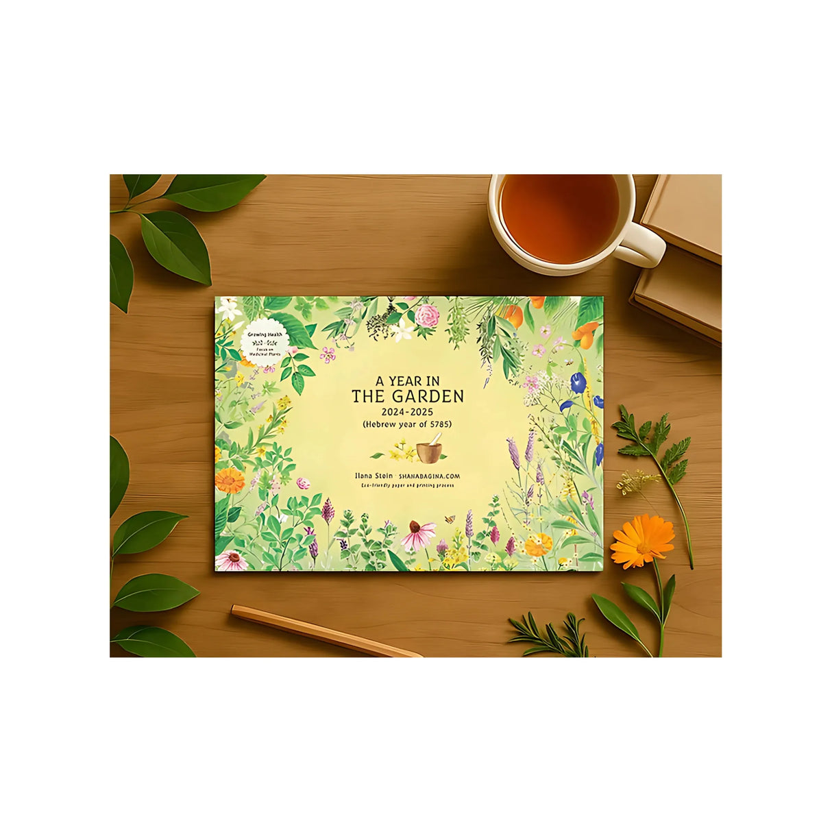 לוח שנה בגינה - אנגלית 2025/2026