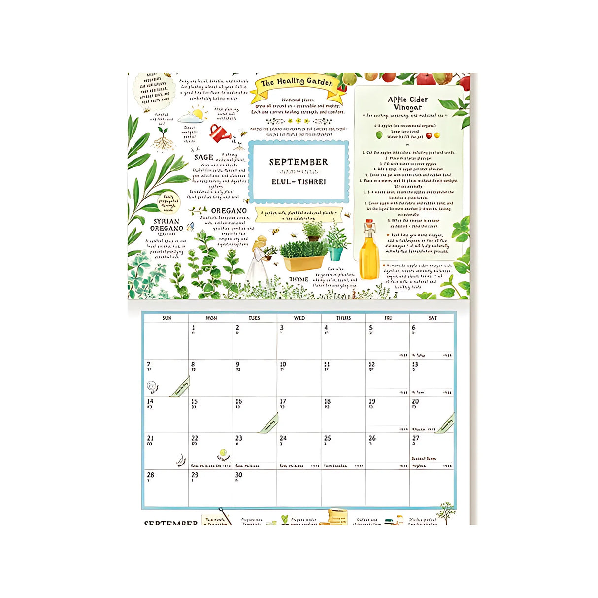 לוח שנה בגינה - אנגלית 2025/2026