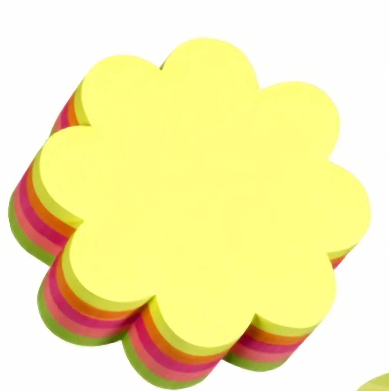 ממו פרח_edited.png