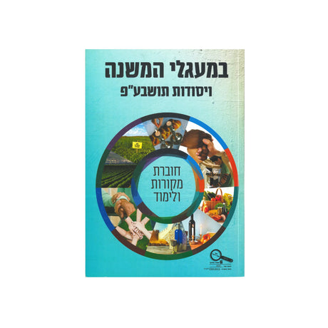 סולמות