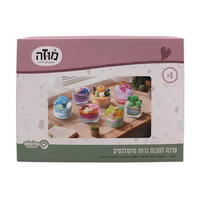 ערכת להכנת נרות - סוקולנטים