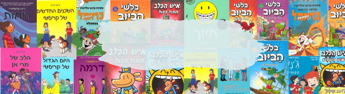 ש.י. פביאן בע"מ