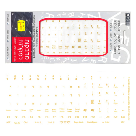 חזרה לקמפוס