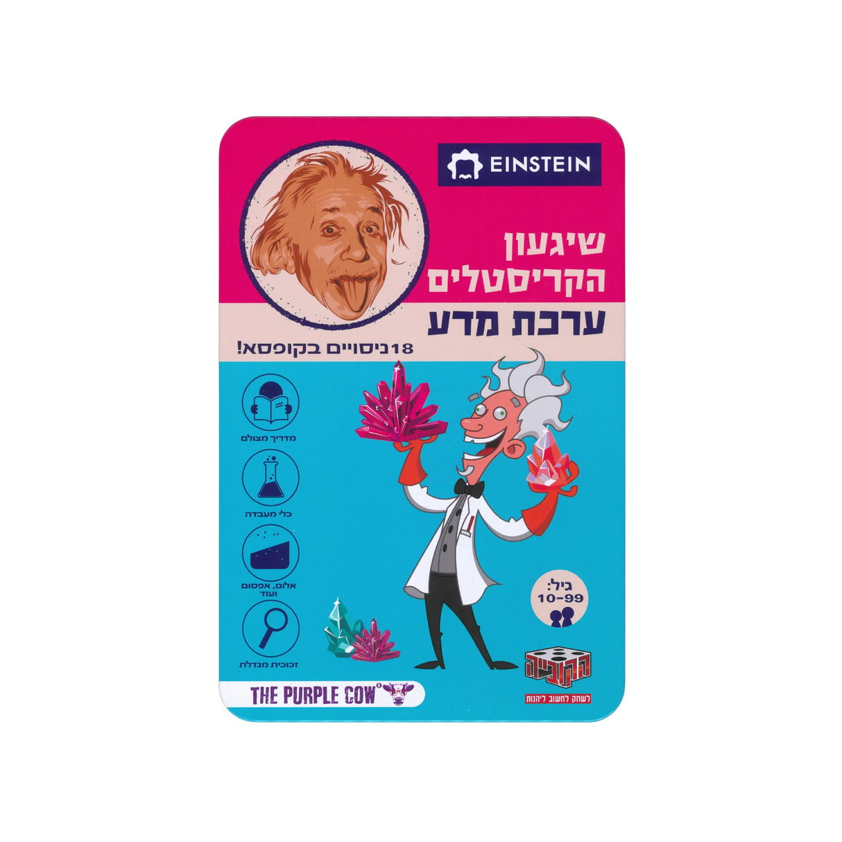 ערכת מדע איינשטיין - שיגעון הקריסטלים