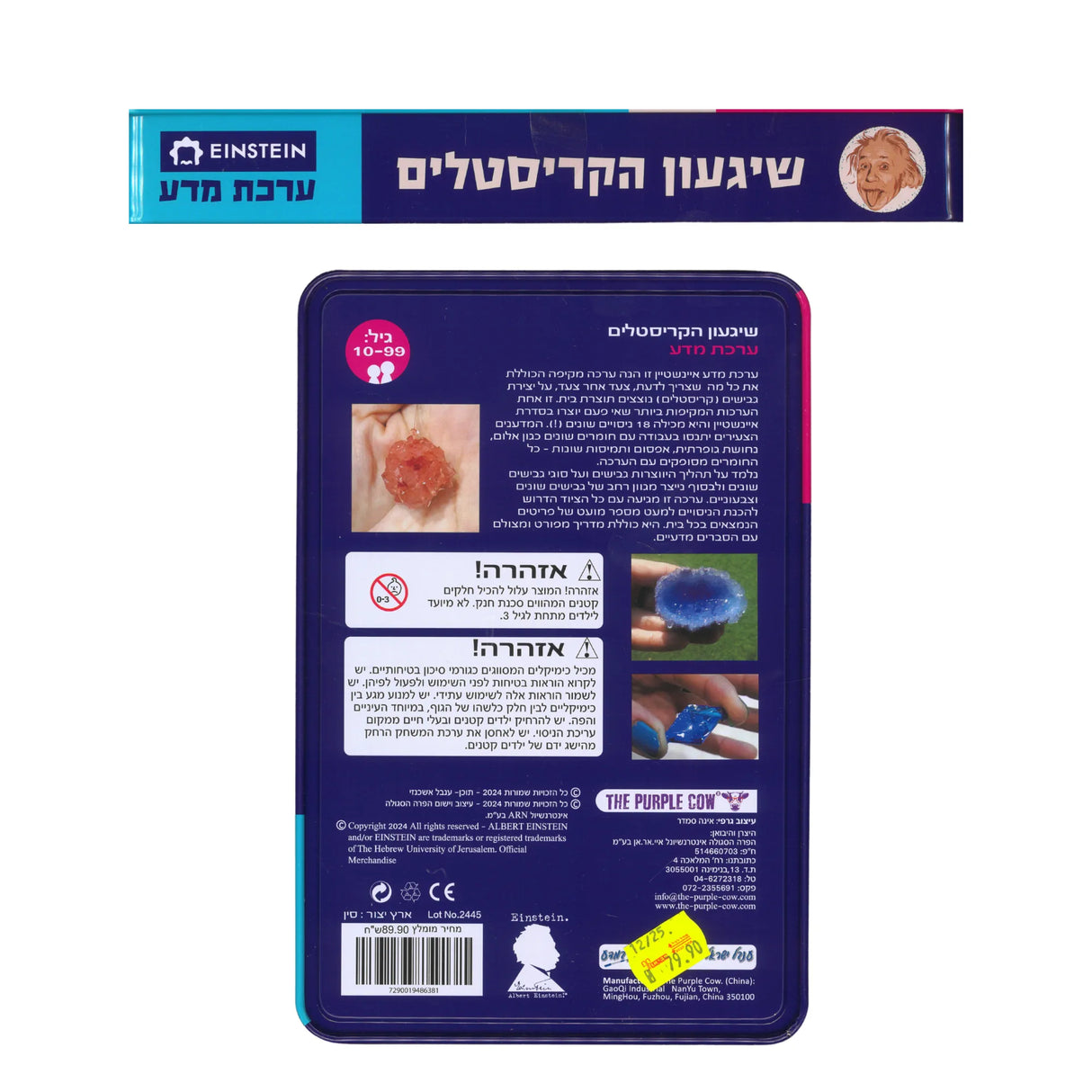 ערכת מדע איינשטיין - שיגעון הקריסטלים