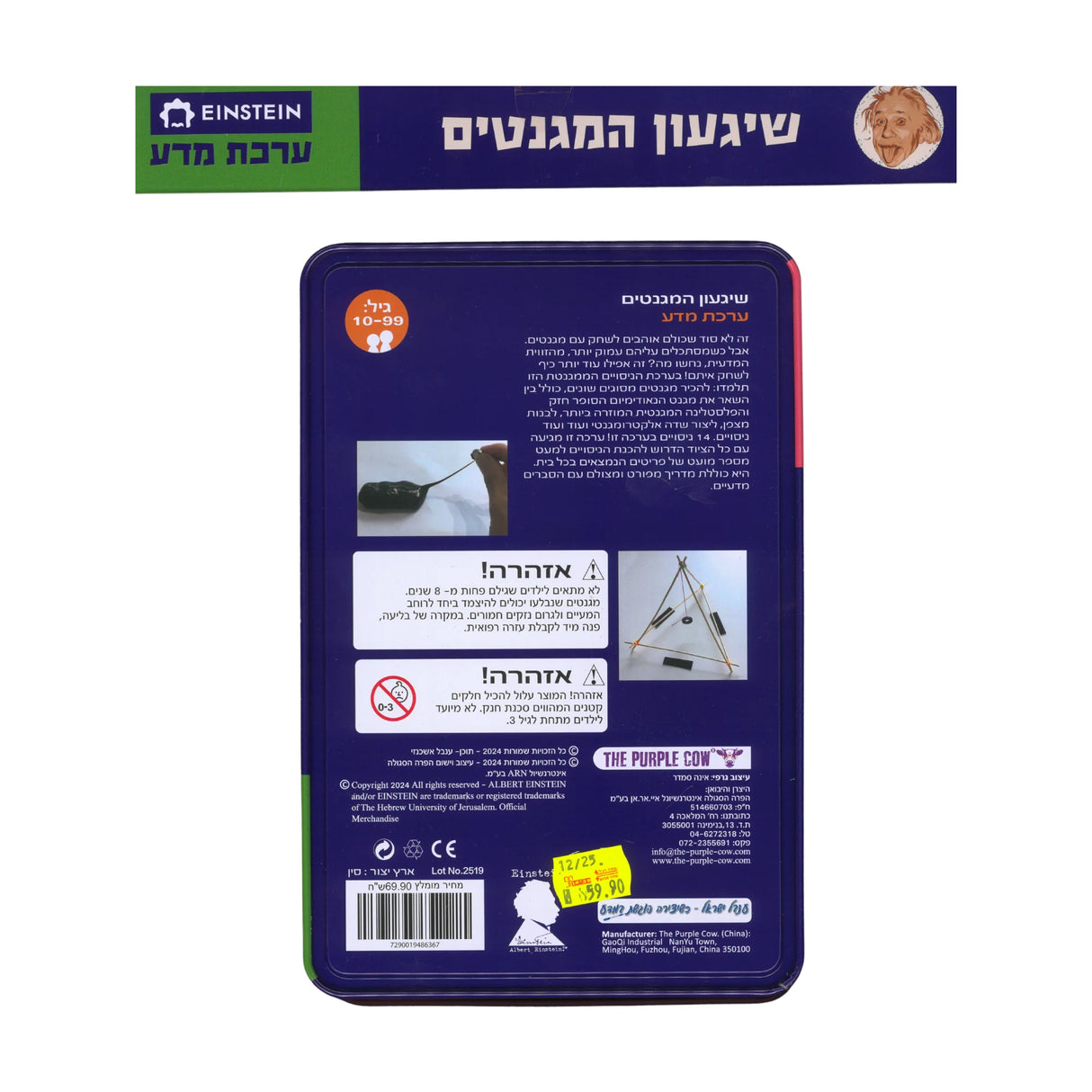 ערכת מדע איינשטיין - שיגעון המגנטים