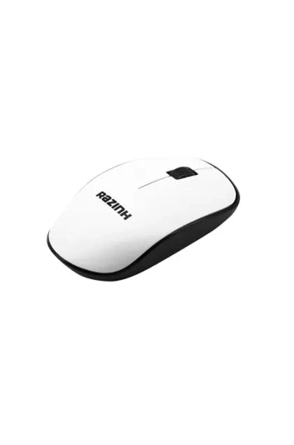 RAZNIK.webp